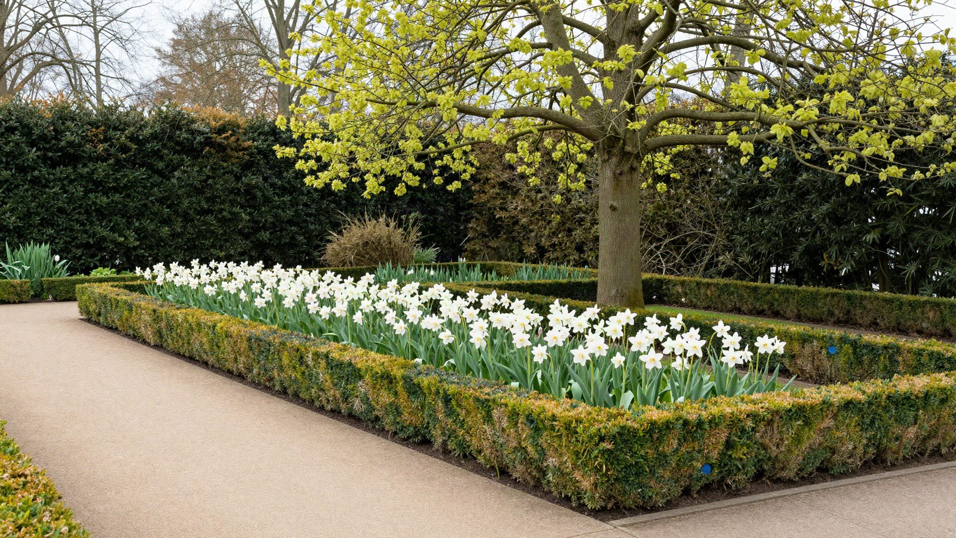 De tuin in de lente